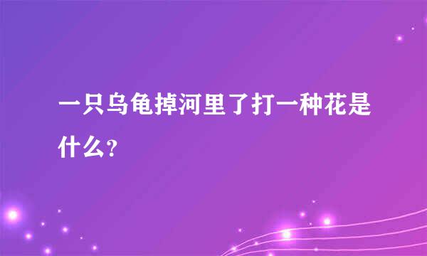 一只乌龟掉河里了打一种花是什么？