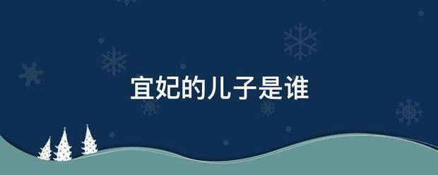 宜妃的儿子是谁若干季来教