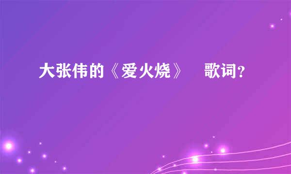 大张伟的《爱火烧》 歌词？