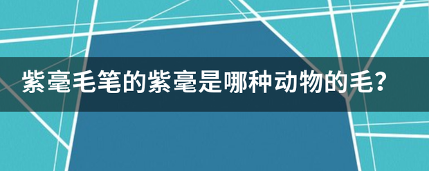 紫毫毛笔的紫毫来自是哪种动物的毛？