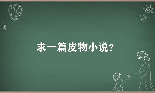 求一篇皮物小说？