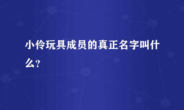 小伶玩具成员的真正名字叫什么？
