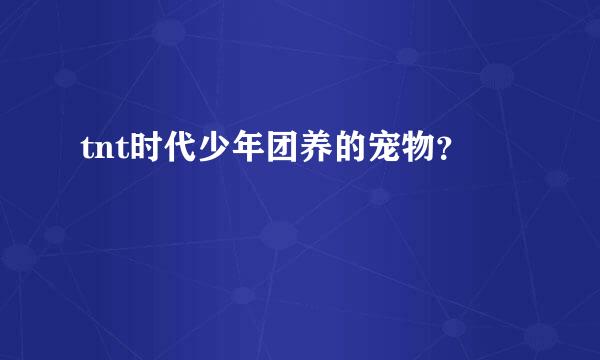tnt时代少年团养的宠物？