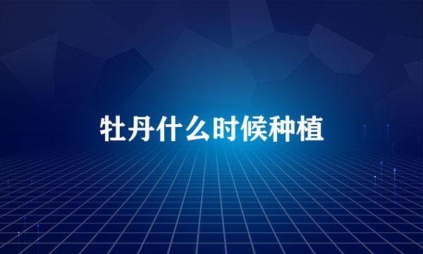 牡丹什么时候种植