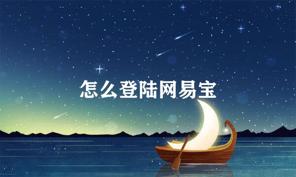 怎么登陆网易宝