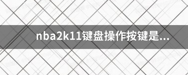 nba2k11键盘操作按键是那些呀？