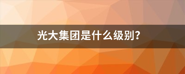 光大集团是什么级别？