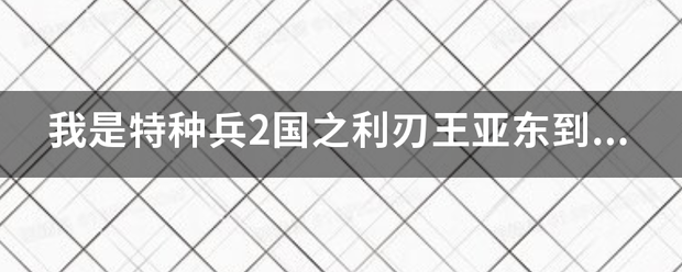 我是特种兵2国之利刃王亚东到底是什么身份