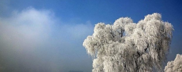 岁末将至敬颂冬绥什么意思